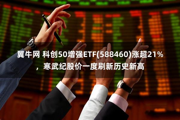 翼牛网 科创50增强ETF(588460)涨超21%，寒武纪股价一度刷新历史新高