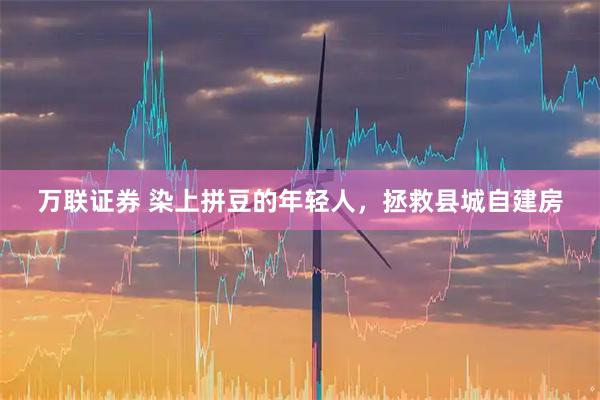 万联证券 染上拼豆的年轻人，拯救县城自建房