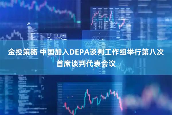 金投策略 中国加入DEPA谈判工作组举行第八次首席谈判代表会议