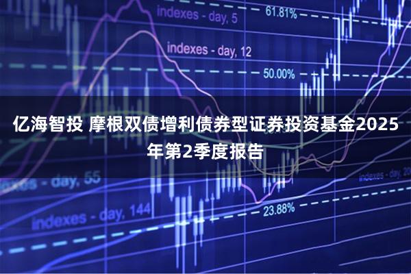 亿海智投 摩根双债增利债券型证券投资基金2025年第2季度报告